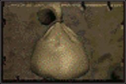 Proszek leczniczy - Medykamenty | Przedmioty | Fallout 2 - Fallout 2 - poradnik do gry