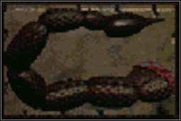 Ogon Radskorpiona - Sprzęt (1) | Przedmioty | Fallout 2 - Fallout 2 - poradnik do gry