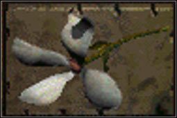 Kwiatek - Sprzęt (2) | Przedmioty | Fallout 2 - Fallout 2 - poradnik do gry