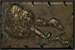 Korzeń Xandrowy - Inne (1) | Przedmioty | Fallout 2 - Fallout 2 - poradnik do gry