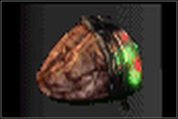 Cybernetyczny mózg - Inne (2) | Przedmioty | Fallout 2 - Fallout 2 - poradnik do gry