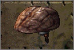 Mózg (upośledzony, ludzki, szympansa) - Inne (2) | Przedmioty | Fallout 2 - Fallout 2 - poradnik do gry
