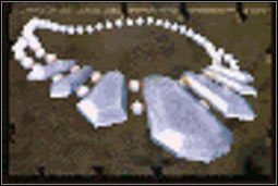 Naszyjnik - Inne (2) | Przedmioty | Fallout 2 - Fallout 2 - poradnik do gry