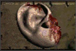 Ucho gracza - Inne (3) | Przedmioty | Fallout 2 - Fallout 2 - poradnik do gry