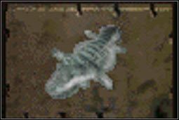 Skóra zwykłego gekona - Inne (3) | Przedmioty | Fallout 2 - Fallout 2 - poradnik do gry