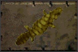 Skóra złotego gekona - Inne (3) | Przedmioty | Fallout 2 - Fallout 2 - poradnik do gry