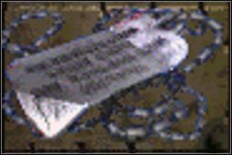 Nieśmiertelniki (Tuco, Blondi, Anielskie oczy) - Inne (4) | Przedmioty | Fallout 2 - Fallout 2 - poradnik do gry