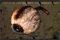 Oko Dixona - Inne (4) | Przedmioty | Fallout 2 - Fallout 2 - poradnik do gry