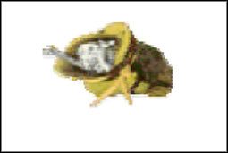 Kości Anny - Inne (4) | Przedmioty | Fallout 2 - Fallout 2 - poradnik do gry