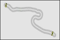 Próba Prędkości : Fukushima B - Ebisu | React Team Session | Need for Speed ProStreet - Need for Speed ProStreet - poradnik do gry