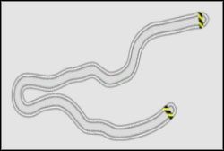 Próba Prędkości Maksymalnych : Autobahnring B - Autobahnring II | React Team Session | Need for Speed ProStreet - Need for Speed ProStreet - poradnik do gry