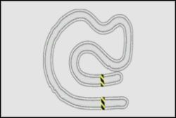 Drift : Tor Do Driftu D - Wyzwanie - Autobahnring | Super Promotion | Need for Speed ProStreet - Need for Speed ProStreet - poradnik do gry