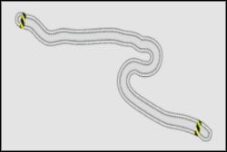 Próba Prędkości Maksymalnych : Fukushima B - Ebisu | Super Promotion | Need for Speed ProStreet - Need for Speed ProStreet - poradnik do gry