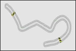 Drift : Tor Do Driftu D - Willow Springs | Super Promotion | Need for Speed ProStreet - Need for Speed ProStreet - poradnik do gry