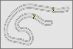 Drift : Tor Do Driftu B - Ebisu | Noise Bomb | Need for Speed ProStreet - Need for Speed ProStreet - poradnik do gry