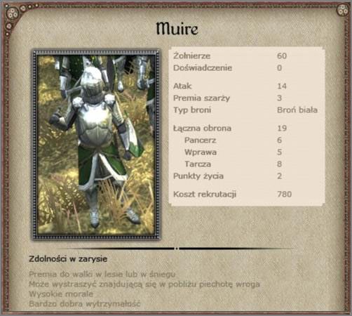 Bardzo dobra odmiana ciężkiej piechoty, w postaci elity zbrojnej - Irlandia - Armia (2) - BRITANNIA - Medieval II: Total War - Królestwa - poradnik do gry