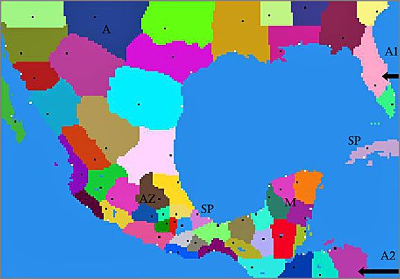 SP - Hiszpańskie prowincje - Majowie (2) - AMERICAS - Medieval II: Total War - Królestwa - poradnik do gry