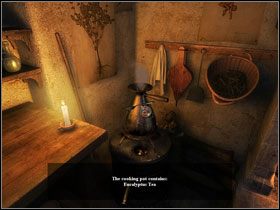 Nalej wody do garnka i wsyp łyżeczkę eukaliptusa - Saturday March 30, 1566 cz.4 | Nostradamus Ostatnia Przepowiednia - Nostradamus: Ostatnia Przepowiednia - poradnik do gry