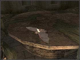 Tu wyjaśniają się słyszane wcześniej popiskiwania - w pomieszczeniu za ścianą lata nietoperz - Noc z 15 na 16 lipca 1895 cz.4 - Sherlock Holmes kontra Arsene Lupin - poradnik do gry