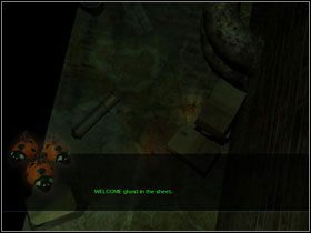 Biegiem do piwnicy - spotkasz małe biedronki - Opis przejścia cz.10 | Ghost in the Sheet - Ghost in the Sheet - poradnik do gry