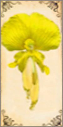 Bellflower Sprite - W tym przypadku możesz liczyć na umiejętność, dzięki której chwilowo zwiększysz siłę zadawanych przez siebie ciosów - [Dodatki] Typy wróżek (cz.1) | Kroniki Spiderwick - Kroniki Spiderwick - poradnik do gry