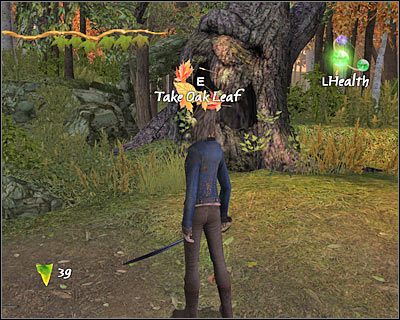 Nie opuszczaj jeszcze tych terenów - [5. The Griffin] Quest 2 (cz.1) | Kroniki Spiderwick - Kroniki Spiderwick - poradnik do gry