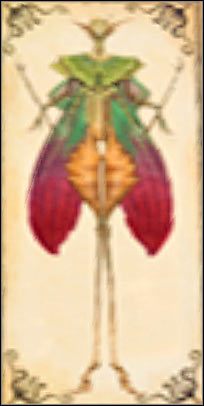 Leatherwing Sprite - Domyślam się, że będzie to jedna z najczęściej łapanych przez Ciebie wróżek - [Dodatki] Typy wróżek (cz.2) | Kroniki Spiderwick - Kroniki Spiderwick - poradnik do gry