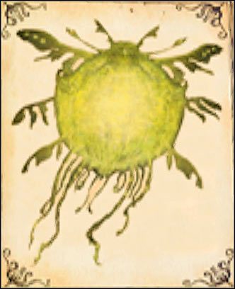 Will-O-The-Wisp - Oferowana przez te wróżki umiejętność pozwala na chwilowe rozkojarzenie przeciwników - [Dodatki] Typy wróżek (cz.3) | Kroniki Spiderwick - Kroniki Spiderwick - poradnik do gry