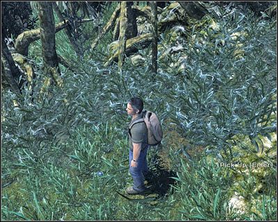 Uwaga - 1x06 - Whatever It Takes cz.3 | Lost Zagubieni - Lost: Zagubieni - poradnik do gry