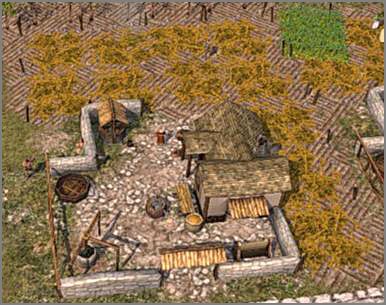 Buduję Plantację Bawełny, pozwoli mi ona na produkcję materiałów niezbędnych na ubrania - Etap III | Budujemy miasto w Imperium Romanum - Imperium Romanum - poradnik do gry