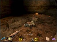 Skaczemy w dziurę z tyłu pomieszczenia, co przeniesie nas do jeziorka przy ruinach (można było się tutaj dostać przez jedne z drzwi w sali z pudłami TNT) - 09: W poszukiwaniu Ambrose | Clive Barkers Undying - Clive Barkers Undying - poradnik do gry