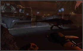 Dojdziecie do monumentalnej budowli, na którą zaraz przypuścicie szturm - [Rozdział] End oh the Road | Turok - Turok - poradnik do gry