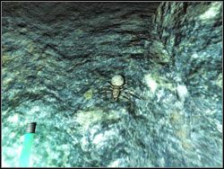 Wstrętne i denerwujące pajączki - Poradnik do gry - Porady do Penumbra Przebudzenie - Penumbra: Przebudzenie - poradnik do gry