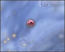 2 - Pierwsze decyzje i ogólne informacje | Faza komórki | Spore - Spore - poradnik do gry