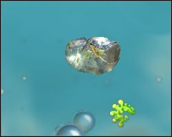 Jeśli zechcesz coś zmienić w swoim stworku, naciśnij przycisk przywołaj partnera, znajdujący się w dole ekranu - Pierwsze decyzje i ogólne informacje | Faza komórki | Spore - Spore - poradnik do gry