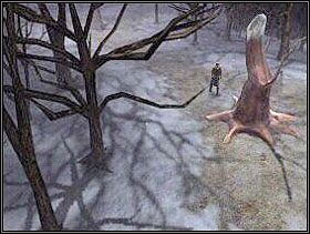 4 - Opis przejścia cz.6 - Blair Witch, część trzecia: Historia Elly Kedward - poradnik do gry