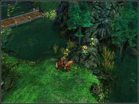 Żaba Feanora słyszała o pomyśle Argusa i nie jest nim niestety zachwycona. - Arlania (cz.3) | Zadania poboczne Kings Bounty Legenda - Kings Bounty: Legenda - poradnik do gry