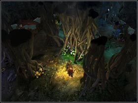 Przed wyjściem na zewnątrz koniecznie pozbieraj przedmioty, gdyż drzewo zablokuje dostęp do groty. - Wielki Las | Zadania poboczne Kings Bounty Legenda - Kings Bounty: Legenda - poradnik do gry