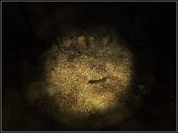 Weź z grobu kamień oraz obejrzyj freski - 9. Turcja | Dracula 3 The Path of the Dragon - Dracula 3: The Path of the Dragon - poradnik do gry