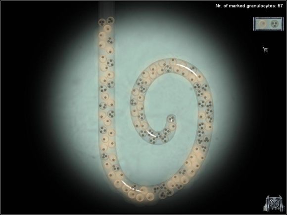 Uzupełnij kartotekę 813 i wpisz wartości, 57/43 tak jak na obrazku poniżej - 11. Vladovista, powrót - Badanie dla próbki 813 (Stephan Luca) - Dracula 3: The Path of the Dragon - poradnik do gry