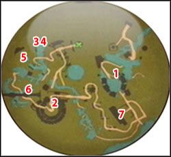 1 - Srebrne klucze | Sekrety w Fable II - Fable II - poradnik do gry