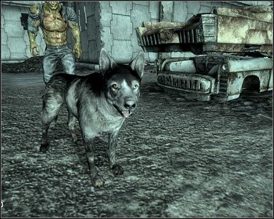 Prawie jak Pikuś. :-) - Główne lokacje T, W, Z | Świat gry Fallout 3 - Fallout 3 - poradnik do gry