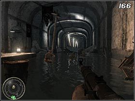 Gdy wreszcie uda Ci się przedrzeć na drugą stronę peronu, wejdź do jednego z wagonów i skieruj się do zalanego wodą tunelu (#166) - Wykwaterowanie | Kampania Call of Duty World at War - Call of Duty: World at War - poradnik do gry