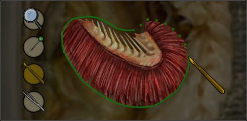Biology 4 - Biologia | Zajęcia szkolne w Bully Scholarship Edition - Bully: Scholarship Edition - poradnik do gry