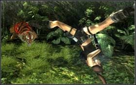 Pobiegnij w prawo przygotowując się jednocześnie na walkę z trzema wybiegającymi z dżungli tygrysami - Coastal Thailand - Remnants (cz.2) | Solucja Tomb Raider Underworld - Tomb Raider: Underworld - poradnik do gry