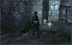 [73] W komnacie, z której zabierasz pierwszą głowę jaguara - Southern Mexico - The Unnamed Days | Sekrety Tomb Raider Underworld - Tomb Raider: Underworld - poradnik do gry