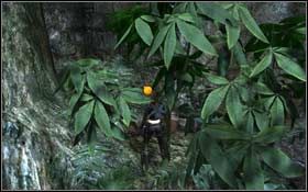 [81] W tej samej odnodze, na końcu, za roślinami - Southern Mexico - Xibalba | Sekrety Tomb Raider Underworld - Tomb Raider: Underworld - poradnik do gry