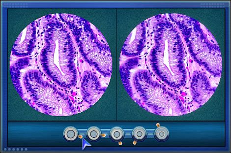 1 - Crime lab #6 | Odcinek 3 | CSI NY - CSI: NY - poradnik do gry