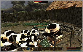 Pierwszy sposób na zabicie krów, to po prostu zablokowanie sobą wyjścia z zagrody i siekanie każdej krowy, która podejdzie bliżej - SILDEN (2) | Questy | Gothic 3 Zmierzch Bogów - Gothic 3: Zmierzch Bogów - poradnik do gry