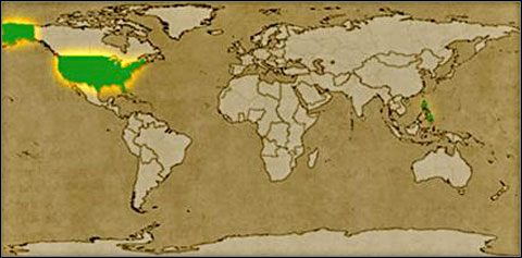 USA są w posiadaniu właściwie wszystkich strategicznych surowców, niezbędnych do bezproblemowego budowania silnej armii - Stany Zjednoczone | Strategia ekspansji | War Leaders Clash of Nations - War Leaders: Clash of Nations - poradnik do gry